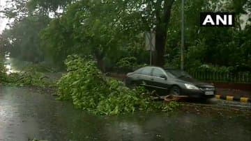 दिल्ली-एनसीआर में धूल भरी आंधी के साथ हुई तेज बारिश, विमान सेवा प्रभावित, जड़ से उखड़ेे पेड़