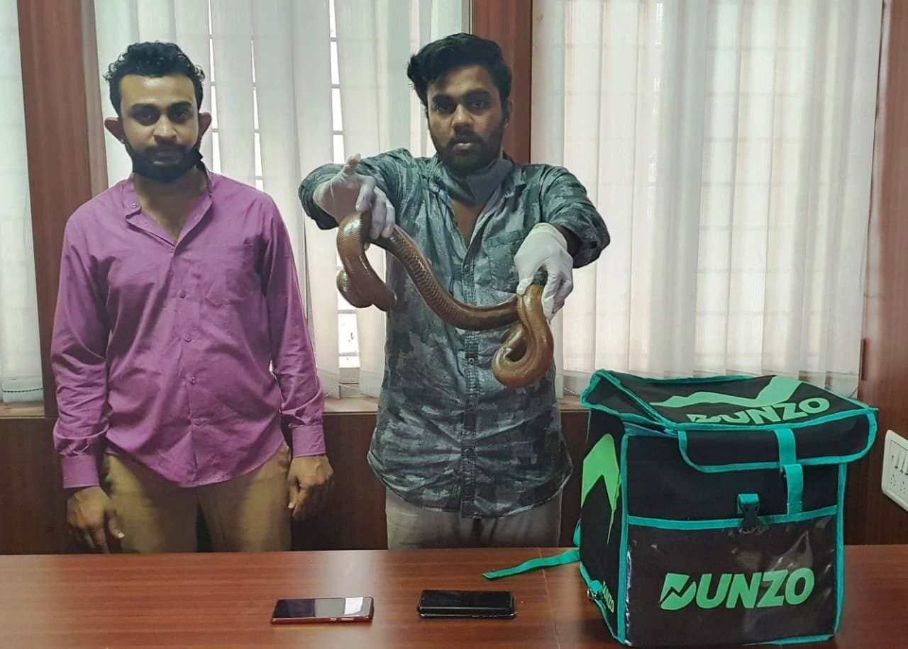 लॉकडाउन में फर्जी डिलीवरी ब्वॉय बनकर दो मुंह वाला सांप बेचने निकले, पुलिस ने ऐसे दबोचा
