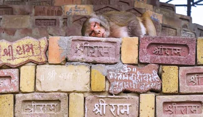 अयोध्या में राम मंदिर ट्रस्ट की बैठक आज, मंदिर निर्माण की तिथि का हो सकता ऐलान