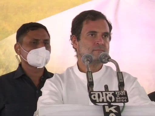 कृषि कानून के विरोध में पंजाब में राहुल की रैली कहा, किसानों का गला काट रही मोदी सरकार