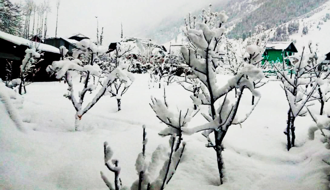 बर्फ की सफेद चादर से ढक गयीं जम्मू-कश्मीर और हिमाचल की पहाड़ियां, 12 तक मौसम खराब रहने की चेतावनी