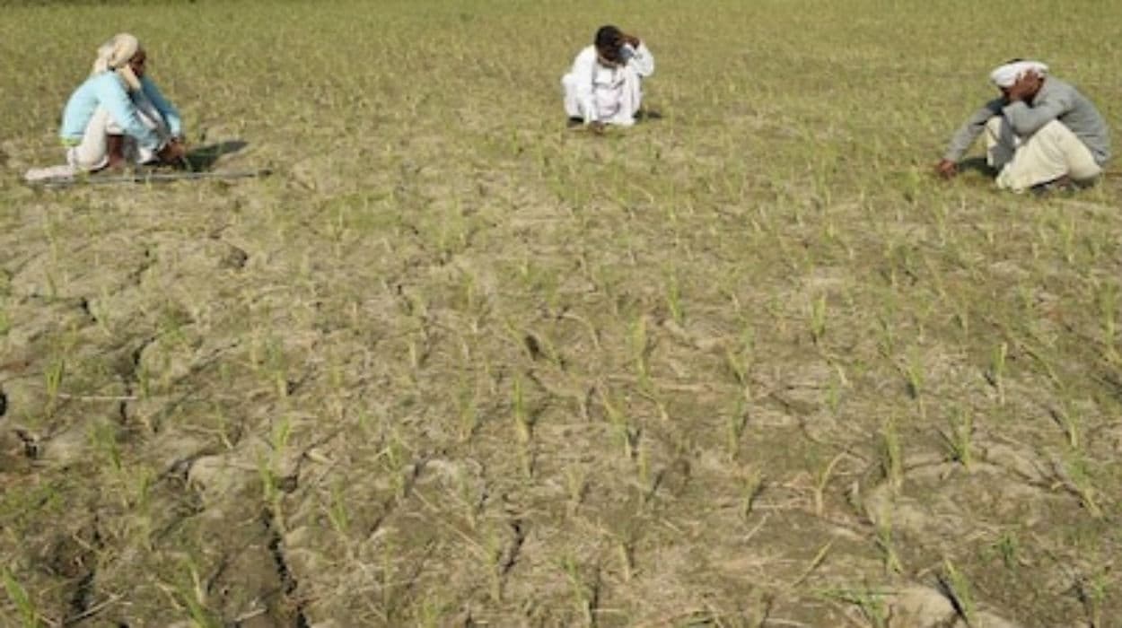 बिहार में गर्मी किसानों के लिए बनी आफत, सूखने की कगार पर फसलें, जानें सरकार की क्या है तैयारी