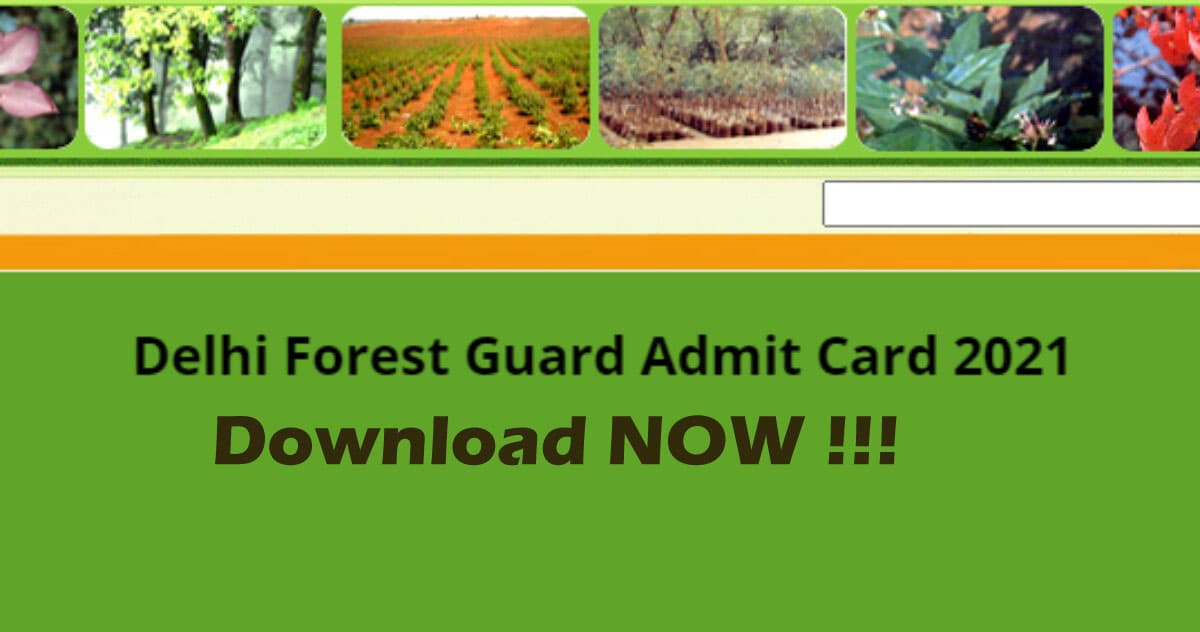 Forest Guard Admit Card 2021: जारी होने वाला है वन विभाग परीक्षा का एडमिट कार्ड, यहां देखें शेड्यूल