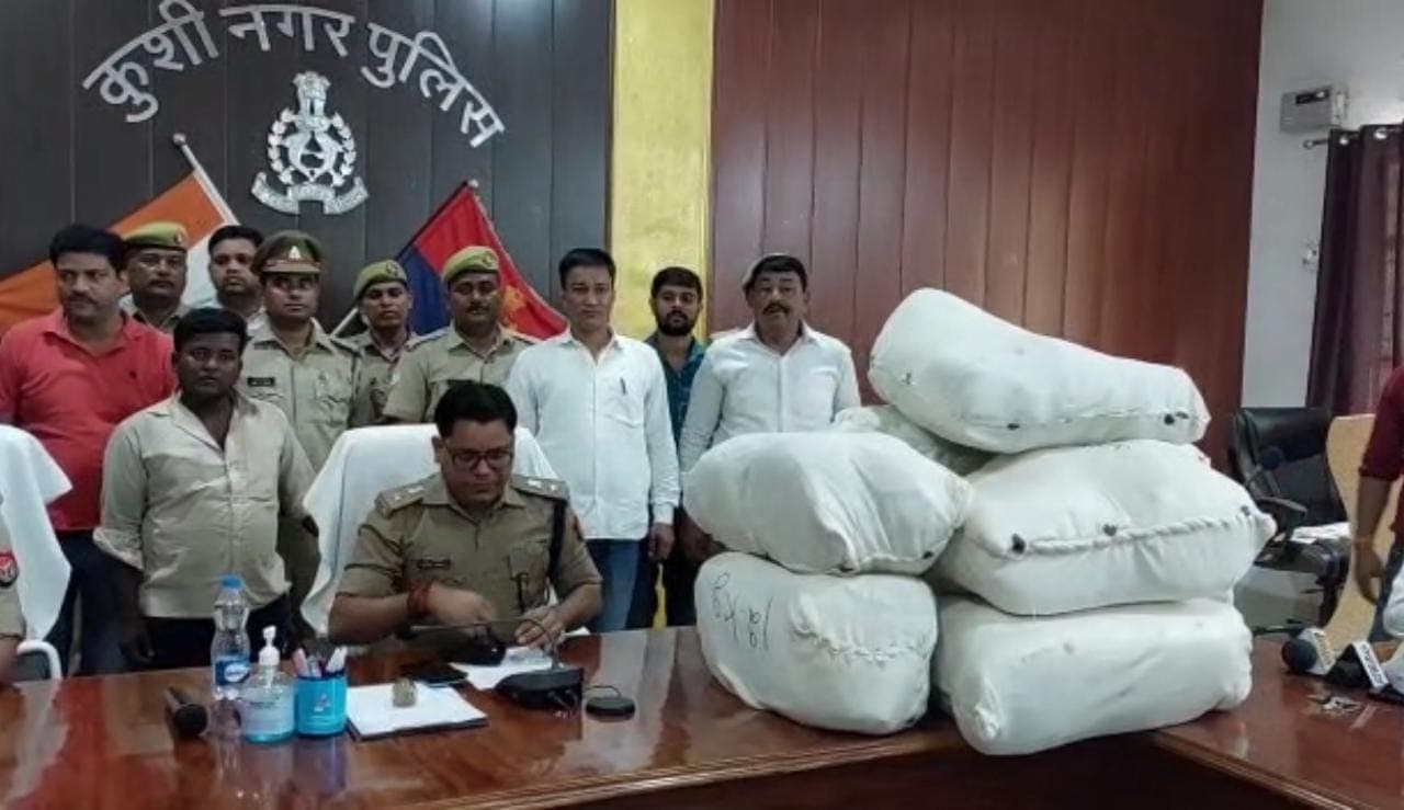 ओडिशा से कुशीनगर में 140 किलो गांजा पिकअप में छुपाकर ले आया तस्कर, पुलिस गिरफ्तार