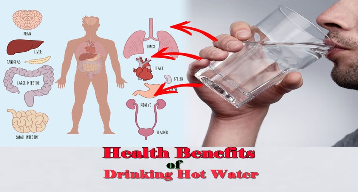 Health Benefits of Warm Water: गरम पानी पीने के बड़े फायदे, घटेगा वजन और इम्यूनिटी भी होगी स्ट्रॉन्ग