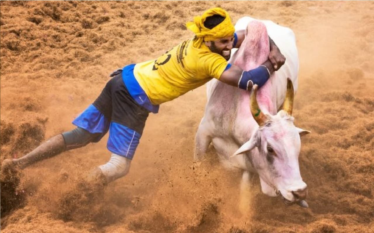 Jallikattu: तमिलनाडु में जल्लीकट्टू के दौरान दो लोगों की मौत, 75 घायल, मुख्यमंत्री ने की मुआवजे की घोषणा