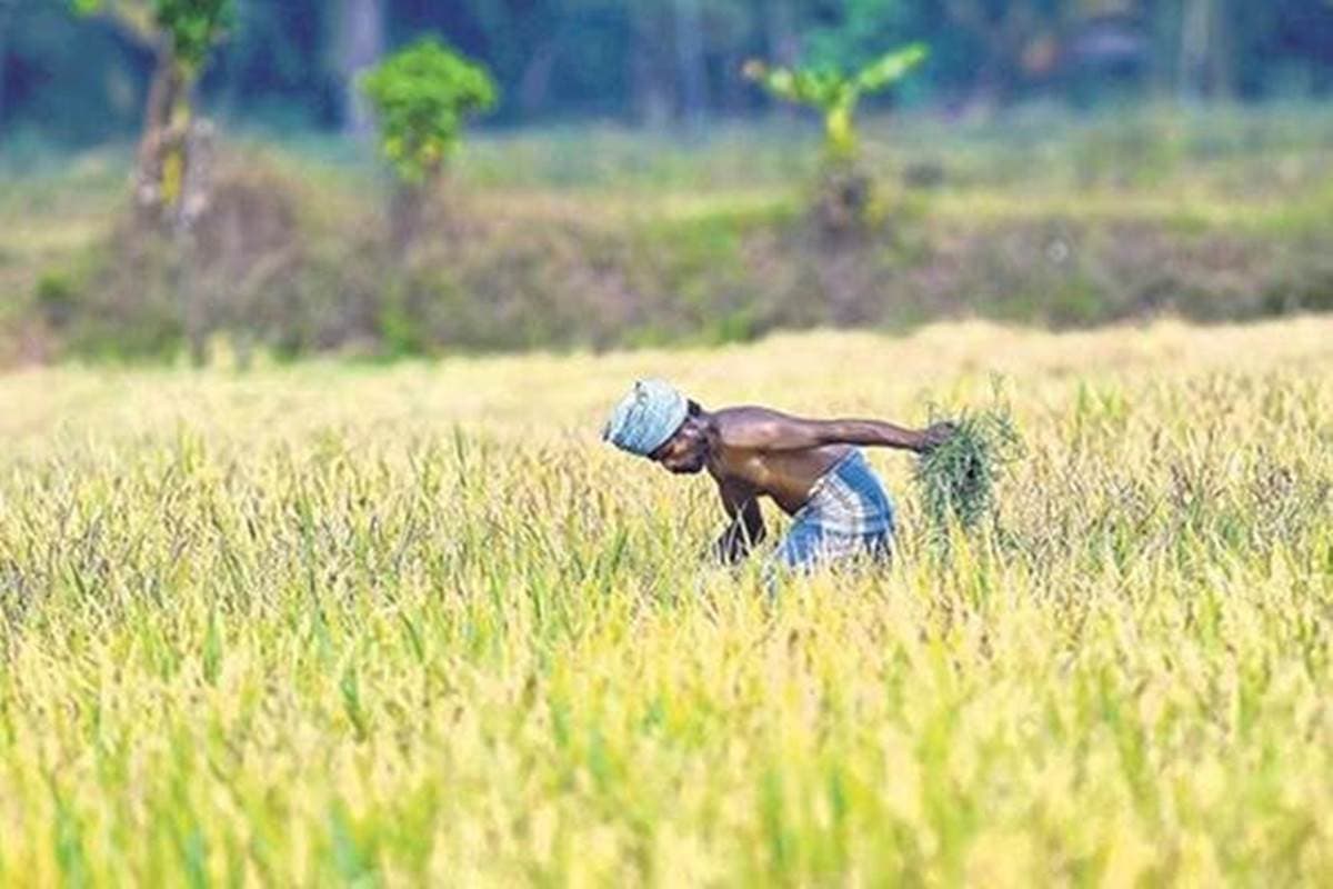 पीएम किसान सम्मान योजना : किसानों के बीच बंट चुके हैं 1000 करोड़, 16 लाख से अधिक किसानों को मिल चुका है लाभ