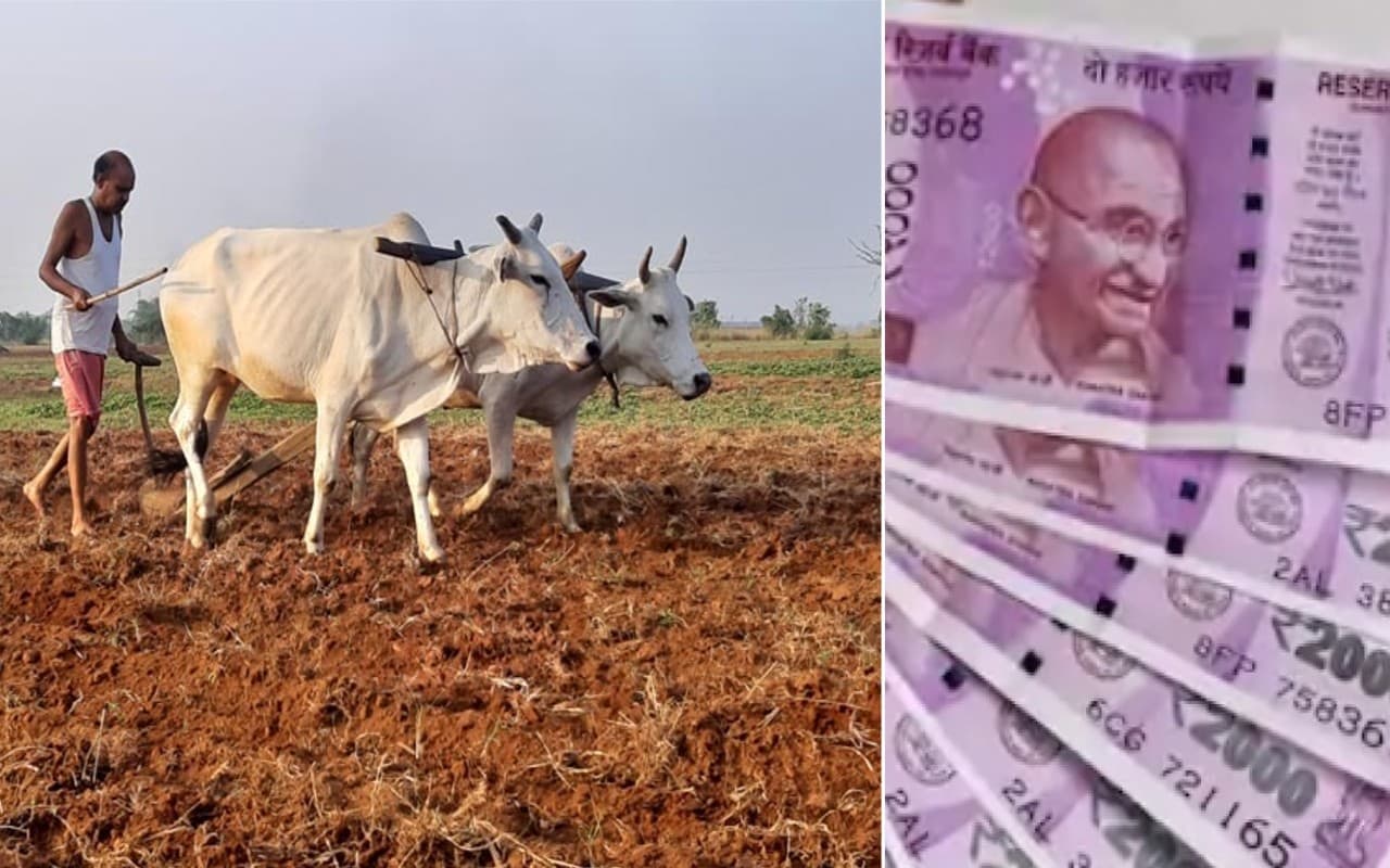 PM Kisan 13th Installment: पीएम मोदी ने किसानों को दिया होली गिफ्ट, खाते में आया 13वीं किस्त का पैसा…