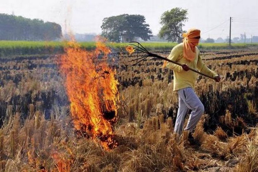 बिहार में पराली जलानेवाले किसान सरकारी योजनाओं से रहेंगे वंचित