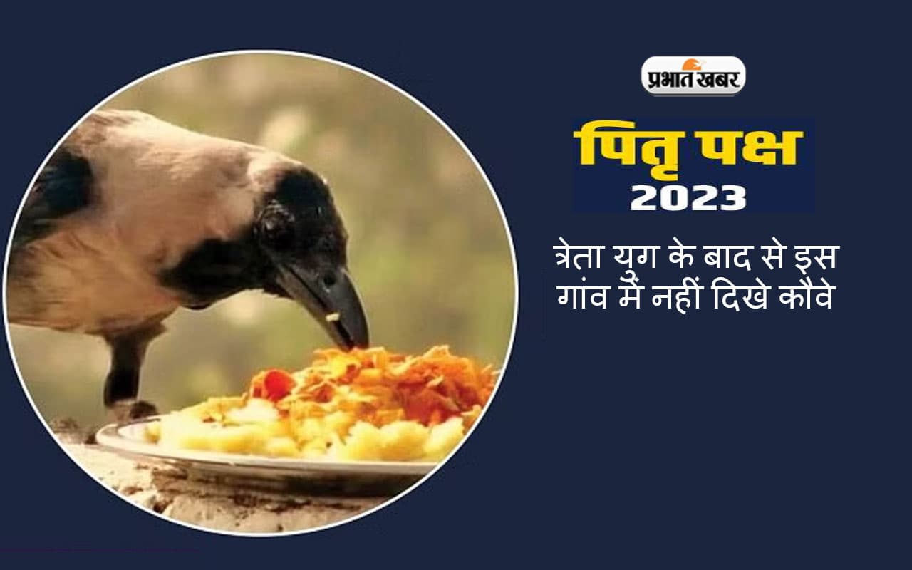 Pitru Paksha 2023: त्रेता युग के बाद से इस गाँव में नहीं दिखे कौवे, जानिए इसके पीछे का रहस्य
