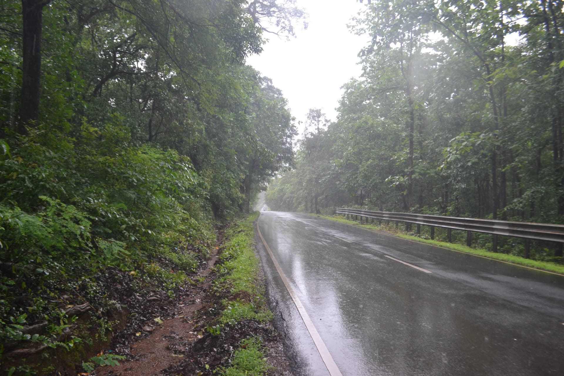 Weather Forecast Updates : झारखंड में आज से बढ़ेगी बारिश, दिल्ली, बिहार में मानसून कमजोर, जानें यूपी, बंगाल समेत अन्य राज्यों का हाल