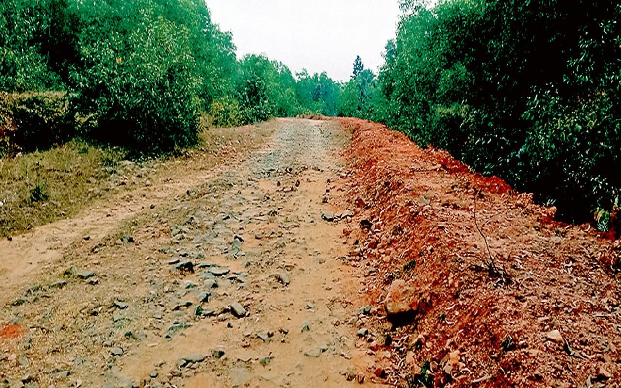 धनबाद : मनरेगा कार्य में गड़बड़झाला, BCCL की पक्की सड़क पर बना दी मिट्टी-मोरम वाली सड़क, पैसे भी निकाले