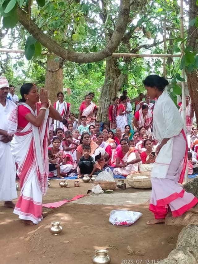 झारखंड : पेड़ पर चढ़कर निर्जला उपवास करने वाली हीरामनी 9 दिन बाद उतरीं नीचे, कर रहीं थी सरना मां की उपासना