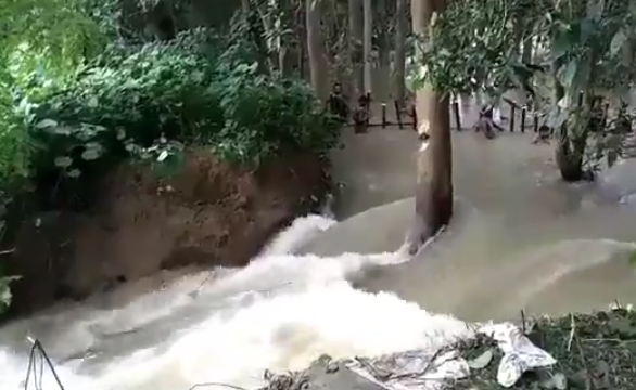 मूसलाधार बारिश का कहर, घोघारी नदी पर बना जमीनदारी बांध टूटा, आधा दर्जन गांवों पर मंडराया बाढ़ का खतरा