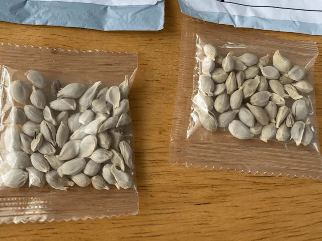 Seed Parcels: विदेशों से आ रहे रहस्यमय बीज पार्सल, केंद्र सरकार ने राज्यों को जारी किया अलर्ट