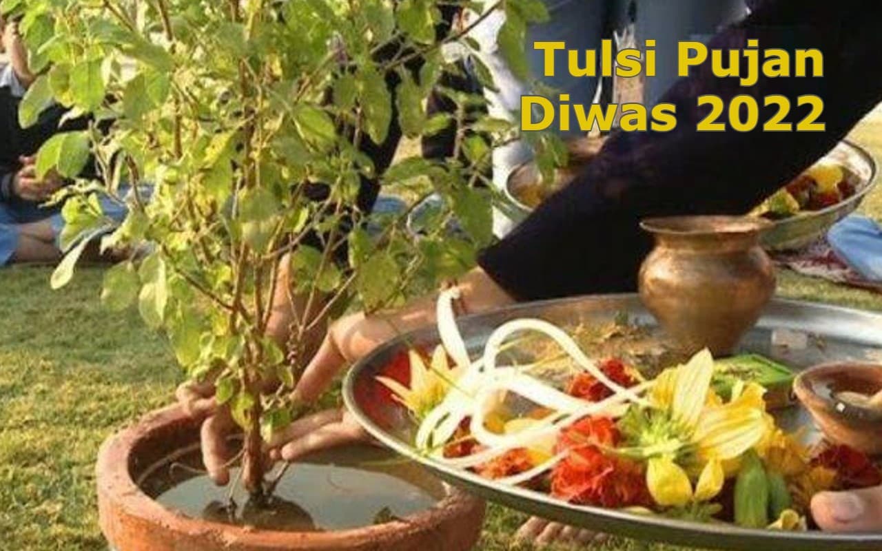 Tulsi Pujan Diwas 2022 Date: तुलसी पूजन दिवस कब है? इस दिन का महत्व, पूजा विधि जानें Tulsi Pujan Diwas 2022 Date: तुलसी पूजन दिवस कब है? इस दिन का महत्व, पूजा विधि जानें