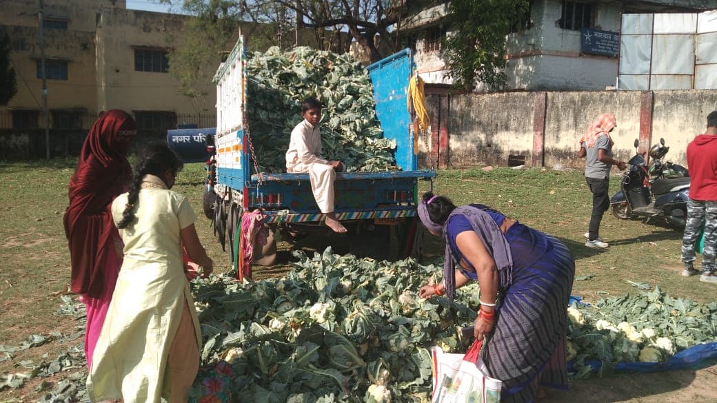 खेतों में सड़ रहीं सब्जियां, औने-पौने दाम में बेचने को मजबूर