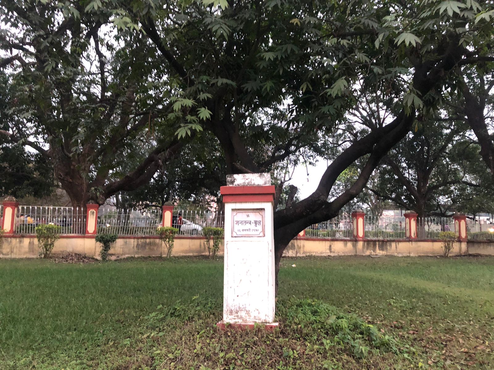 BHU में आज भी मौजूद है ऐतिहासिक रिपब्लिक डे ट्री, जो बयां करती है 26 जनवरी 1950 के दौर की कहानी