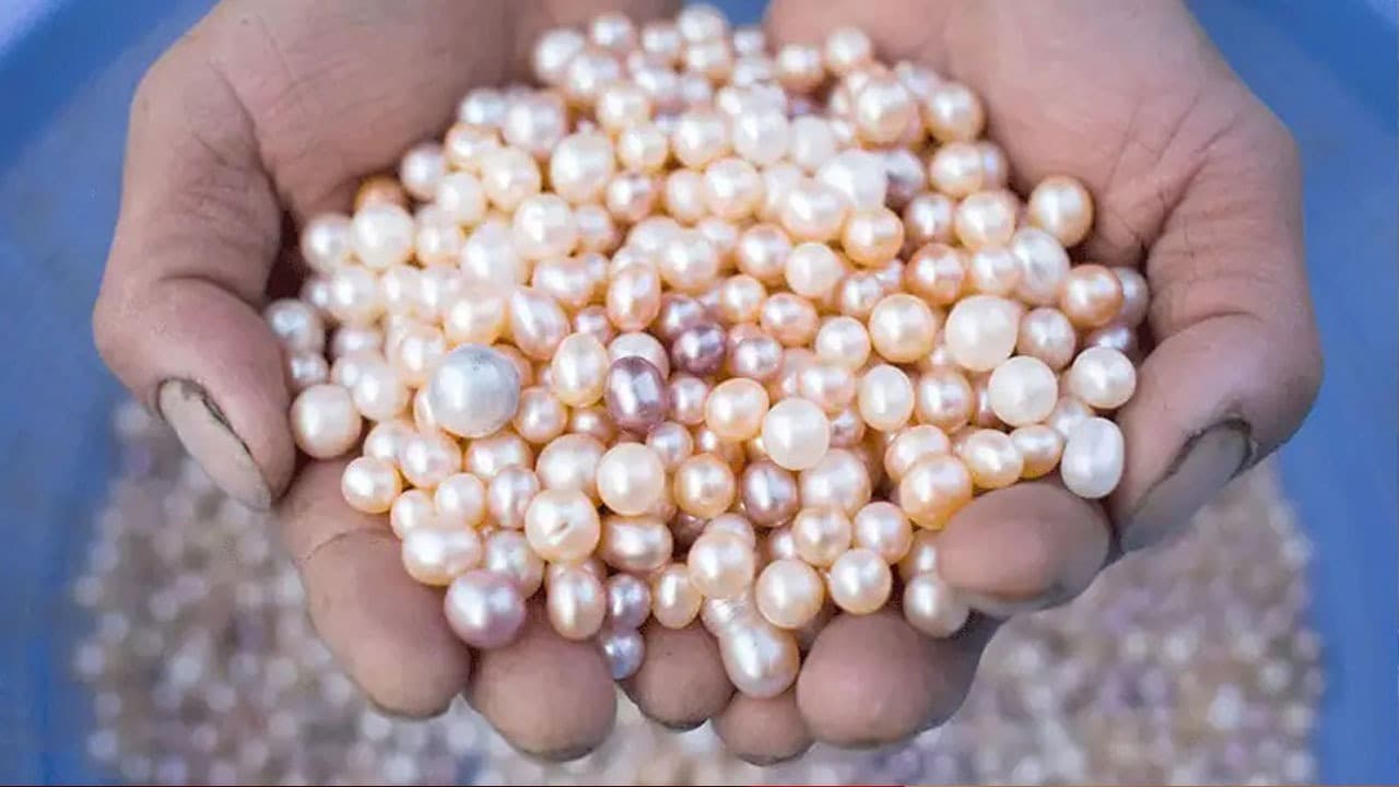 Business Opportunity: खर्च होंगे 25 हजार , महीने में मिलेंगे 3 लाख, 50%केंद्र सरकार से सब्सिडी भी मिलेगी