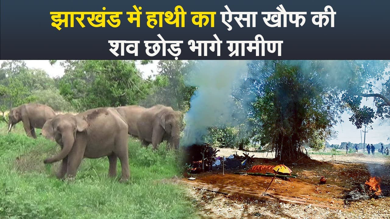 Video : झारखंड में हाथी का ऐसा खौफ की शव छोड़ भागे ग्रामीण