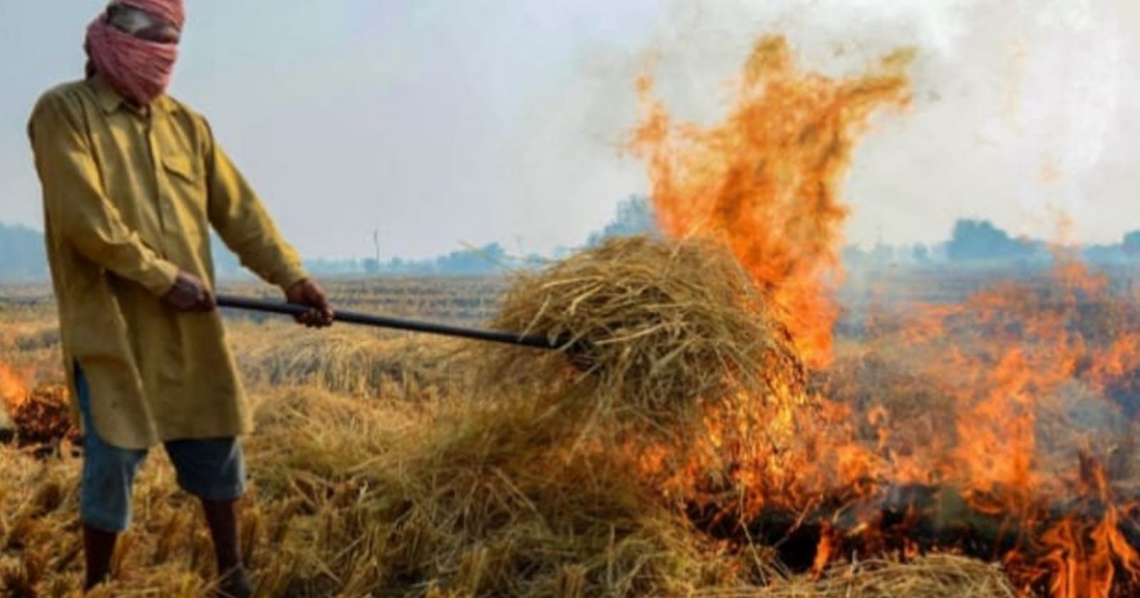 बिहार में सैटेलाइट से पकड़े गए पराली जलाने वाले 6 किसान, प्रशासन ने सरकारी योजनाओं से किया वंचित
