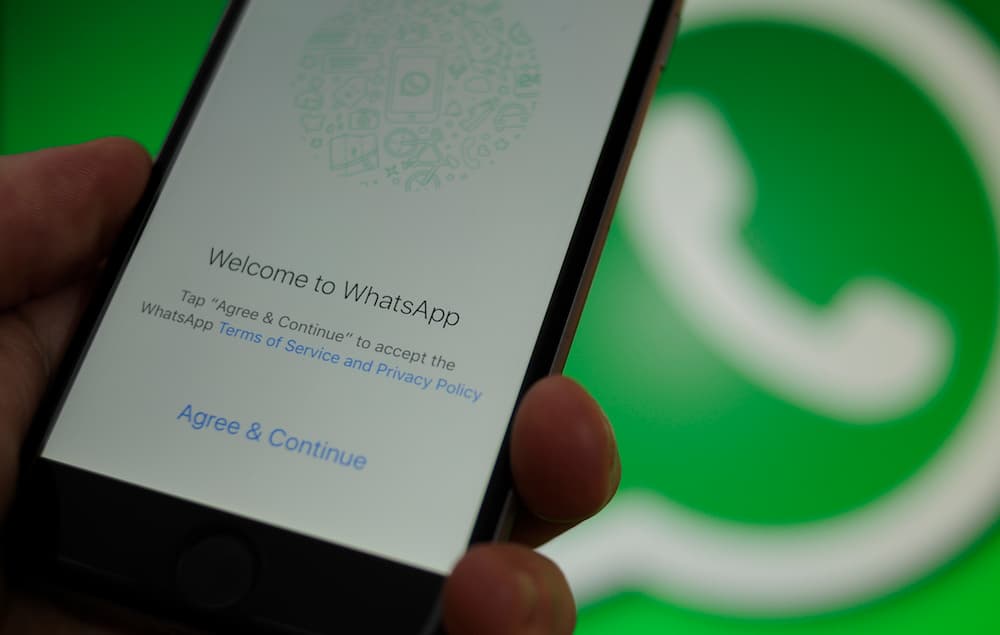 WhatsApp यूजर्स बुरे फंसे, कंपनी की नई शर्तें मानीं तो डाटा लीक, नहीं मानी तो व्हाट्सएप लॉक