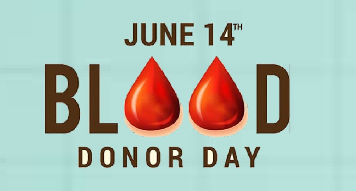 Blood Donation Day: इस साल भी लक्ष्य से 92,122 यूनिट पीछे रहा झारखंड, हर साल पड़ती है इतने की जरूरत Blood Donation Day: इस साल भी लक्ष्य से 92,122 यूनिट पीछे रहा झारखंड, हर साल पड़ती है इतने की जरूरत