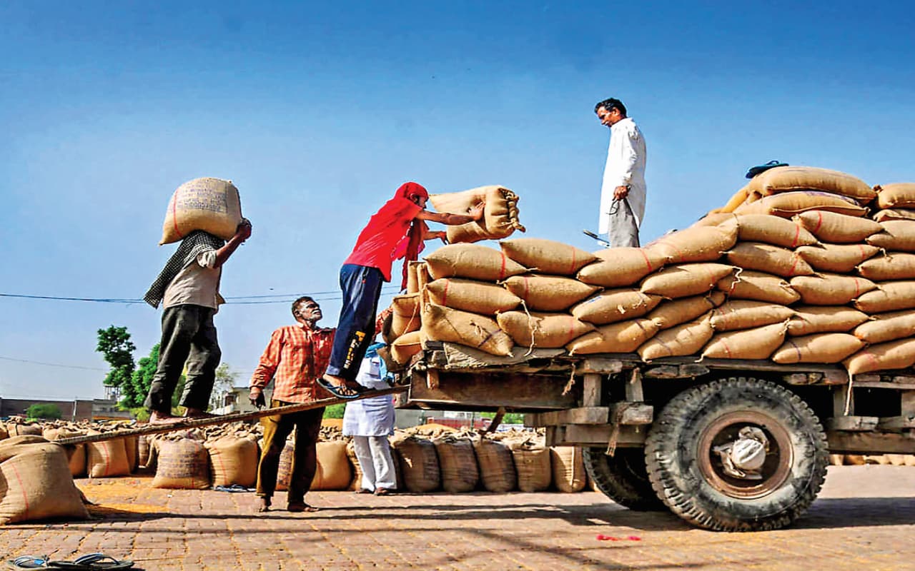 भारत में बनेगा विश्व का सबसे बड़ा अनाज भंडार