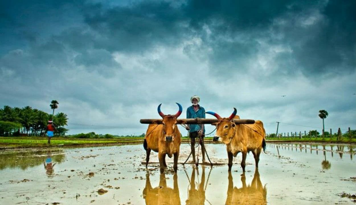 देश की आर्थिक संकट में सिर्फ खेती किसानी ने दिखायी मैजिक, बाकी 8 कोर सेक्टर ने कोरोना काल में तोड़ा दम