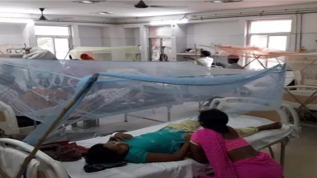 Dengue मरीजों की बढ़ी परेशानी, PMCH समेत 3 अस्पतालों में प्लाज्मा और प्लेटलेट्स के लिए करना पड़ेगा इंतजार