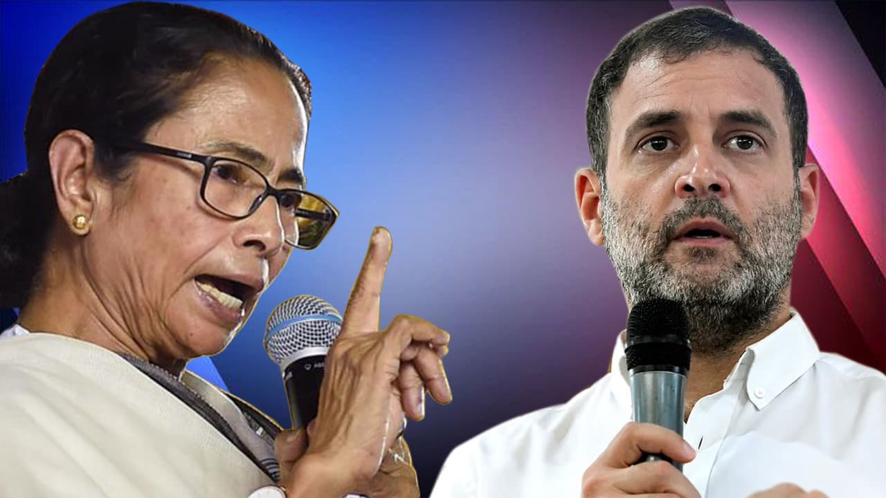 बंगाल के महासंग्राम में लोकसभा चुनाव 2019 की छाप… क्या राहुल के फॉर्मूले पर चल रही हैं ममता?