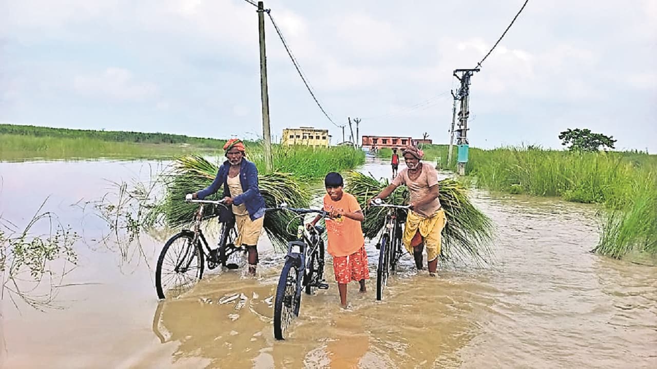 Bihar Flood: नेपाल की बारिश से बिहार की नदियां उफनाई, कोसी व गंडक का दिख रहा रौद्र रूप, गांवों से संपर्क टूटा Bihar Flood: नेपाल की बारिश से बिहार की नदियां उफनाई, कोसी व गंडक का दिख रहा रौद्र रूप, गांवों से संपर्क टूटा