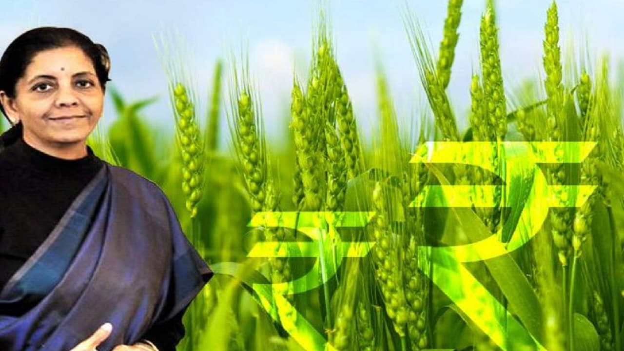 Agriculture Budget 2023: एग्रीकल्चर एक्सलरेटर फंड की स्थापना एक बहुत बड़ा और महत्वपूर्ण कदम, बोले पुष्कर लिमये