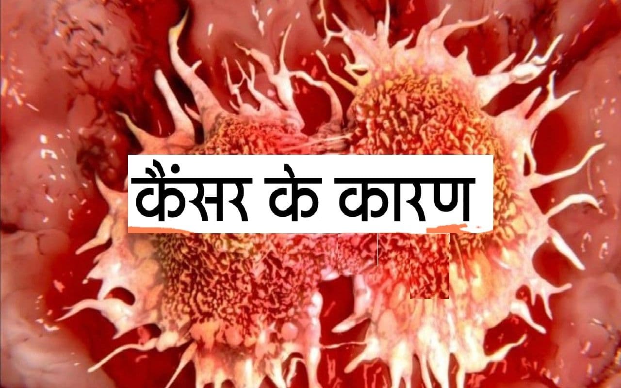 Cancer का रिस्क बढ़ाती हैं धूम्रपान और शराब पीने जैसी आदतें, आज ही करें बदलाव, नहीं तो हो सकती है परेशानी