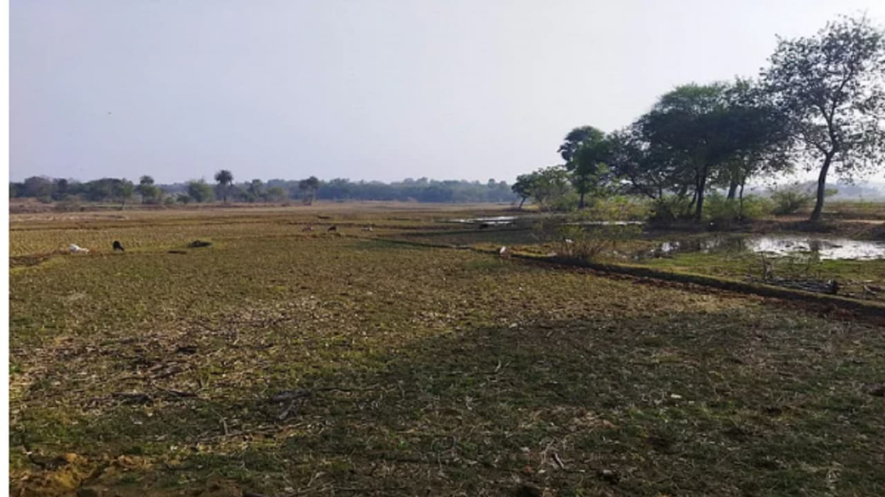 बिहार में चार से छह रुपये प्रति वर्गफुट की दर से मिलेगी जमीन, औद्योगिक भूमि का भी आवंटन शुरू