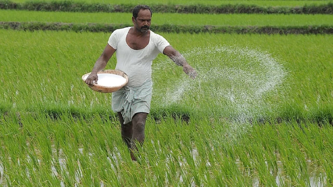 बिहार में अब नहीं होगी खाद की कालाबाजारी, सरकार ने किसानों के लिए बनाया ये शानदार प्लान