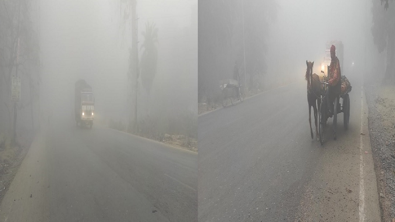 Bihar Weather: भागलपुर का पारा@ 4.5 डिग्री, आसपास के जिलों में भी कनकनी व कोहरा, इस दिन से घटेगी ठंड…