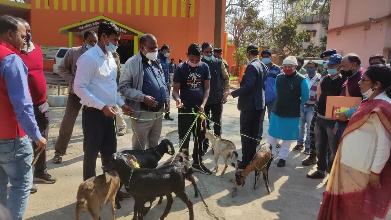 झारखंड में मुख्यमंत्री पशुधन विकास योजना में डीसी ने पकड़ी गड़बड़ी, वितरण से किया इनकार, दिया ये आदेश झारखंड में मुख्यमंत्री पशुधन विकास योजना में डीसी ने पकड़ी गड़बड़ी, वितरण से किया इनकार, दिया ये आदेश