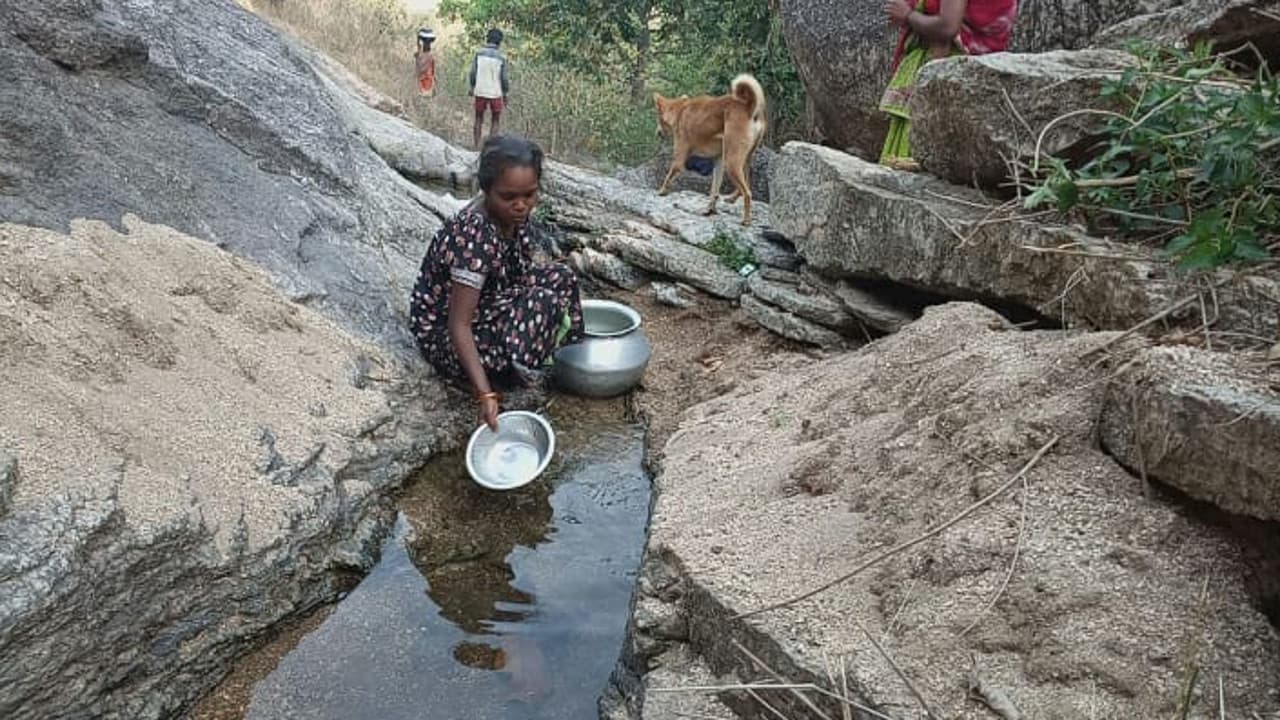गुमला में कोरवा जनजाति के ग्रामीण पहाड़ की तलहटी में जमा पानी से बुझाते अपनी प्यास, नहीं लेता कोई सुध