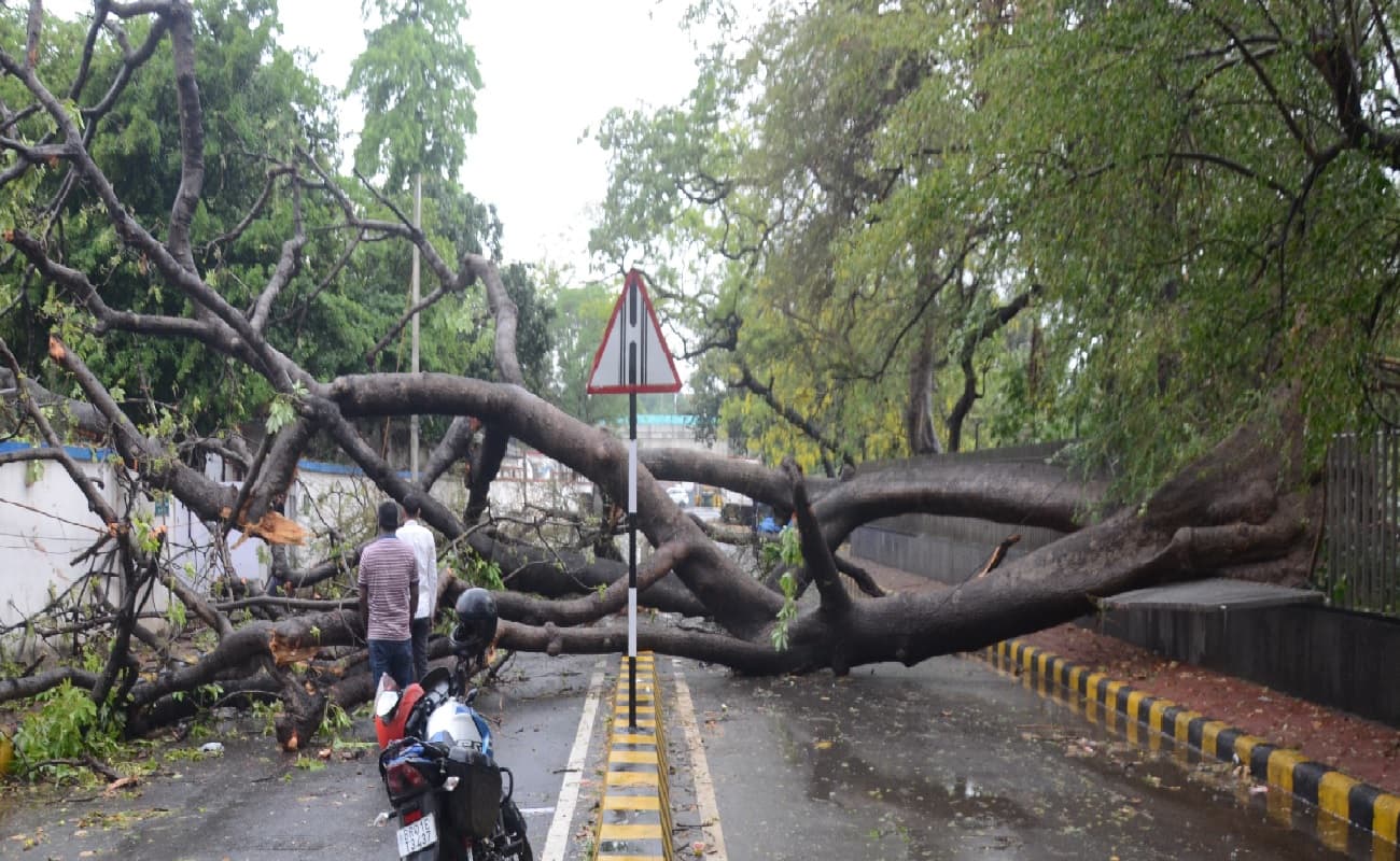 पटना में आफत की बारिश, कई जगह आंधी से गिरे पेड़, मुहल्लों में आधा से एक फुट तक भरा पानी