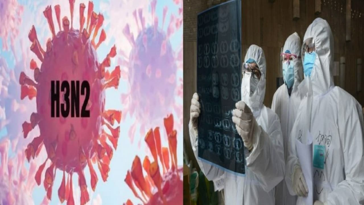 गुजरात: H3N2 वायरस से देश में तीसरी मौत! वडोदरा में 58 वर्षीय महिला की H3N2 वायरस ने ली जान