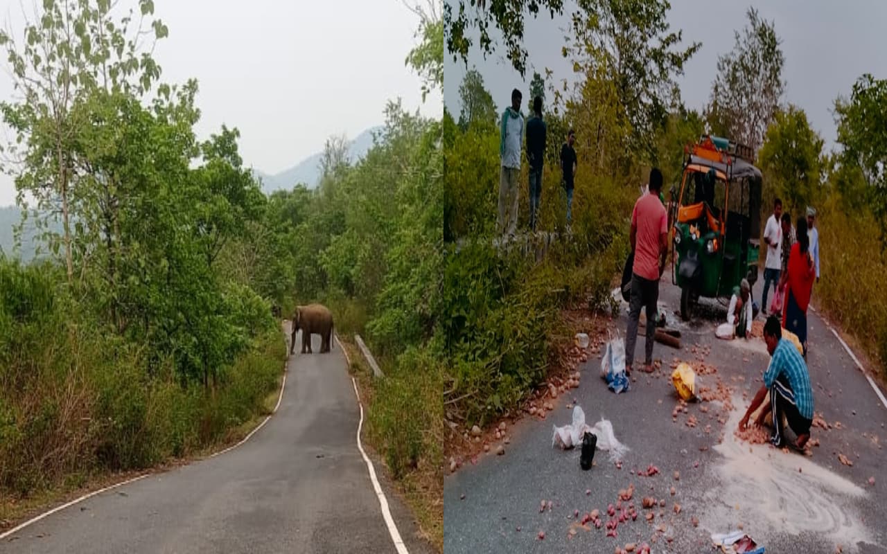 Khunti News: रेलाडीह के जंगल में 10 दिनों से जमा है हाथियों का झुंड, दहशत में ग्रामीण