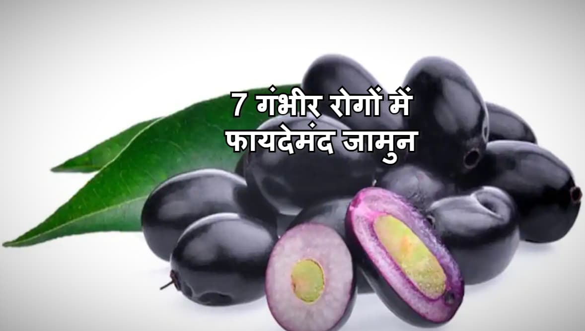 Health benefits of Jamun : डायबिटीज, किडनी स्टोन, हर्ट प्रॉब्लम समेत इन 7 रोगों में फायदेमंद है यह फल