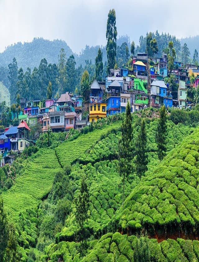 जन्नत से कम नहीं है केरल की ये खूबसूरत जगहें, यकीन नहीं हो रहा तो यहां देखिए