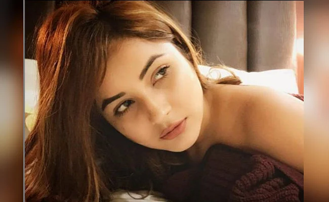 शहनाज गिल के बोल्ड फोटोशूट ने इंटरनेट पर मचाया तहलका, फैंस ने कमेंट में लिखा- दिसंबर में…