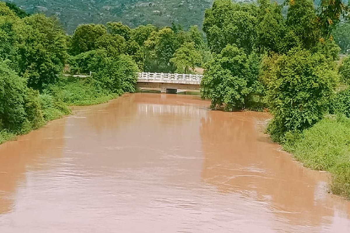 पलामू में कोयल नहर का जलस्तर बढ़ने से खेतों तक पहुंचा पानी, किसान खुश