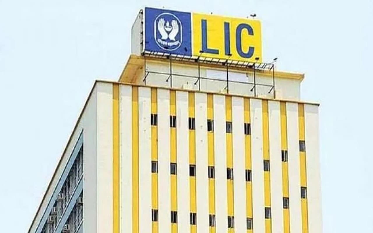 LIC में पहली बार होगी CEO की नियुक्ति, बड़े बदलाव से निवेशकों की होगी मौज