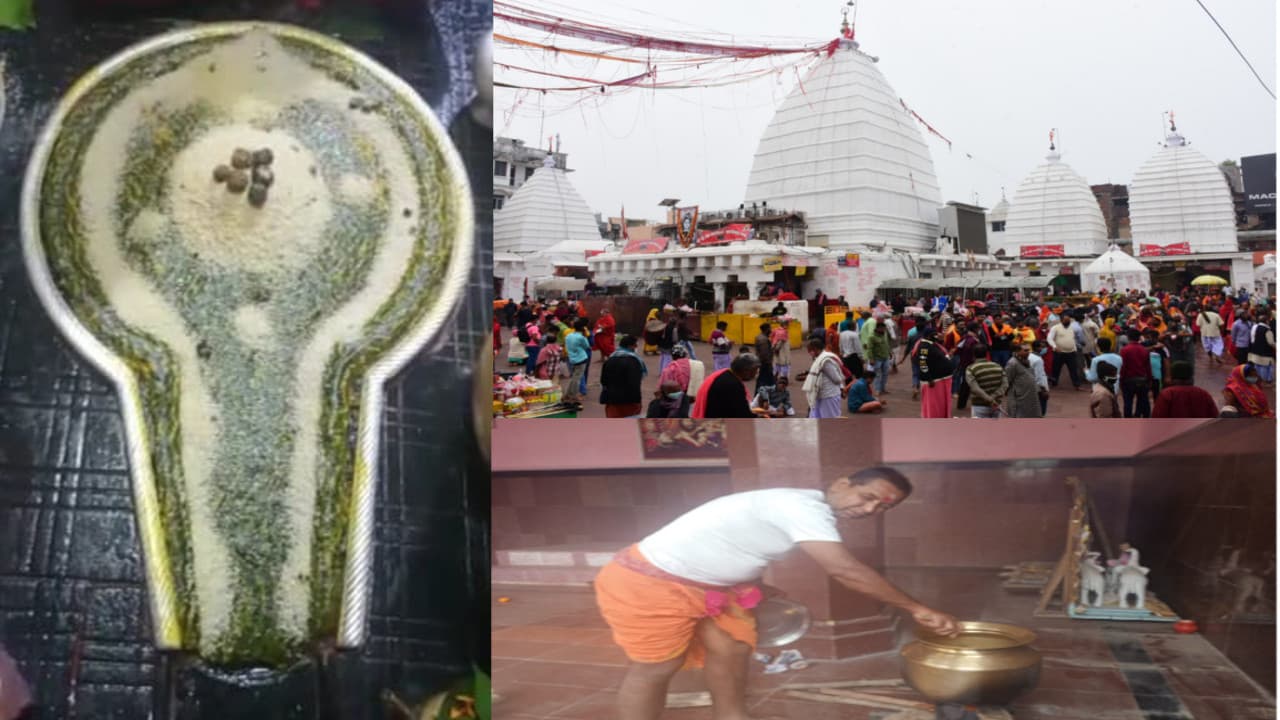 मकर संक्रांति में भोलेनाथ पर चढ़ा तिल, मंदिर में दिखा कोरोना संक्रमण का असर, नहीं बिके शीघ्रदर्शनम कूपन मकर संक्रांति में भोलेनाथ पर चढ़ा तिल, मंदिर में दिखा कोरोना संक्रमण का असर, नहीं बिके शीघ्रदर्शनम कूपन