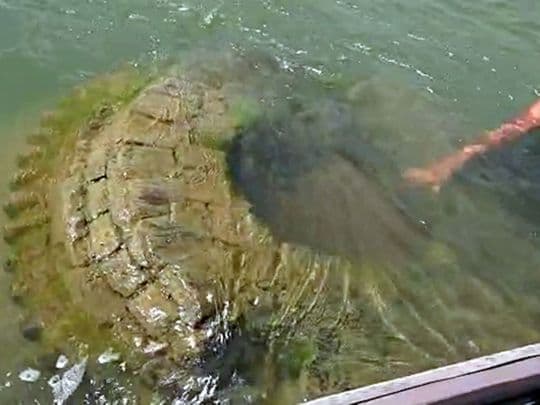 रांची के मेन रोड स्थित एक धार्मिक स्थल में तोड़फोड़, आरोपी गिरफ्तार, SSP ने कहा- मामले की हो रही है जांच