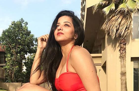 भोजपुरी एक्ट्रेस मोनालिसा ने रेड आउटफिट में ढाया कहर, यूजर बोले- आपकी अदा…